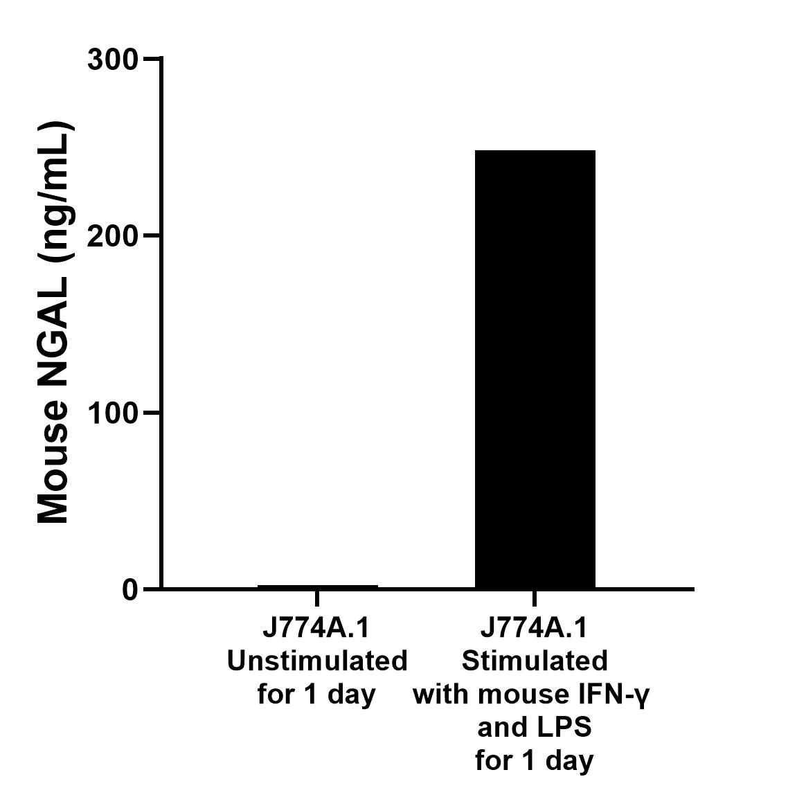 Mouse reticulum cell sarcoma macrophage cells (0.5 x 10^6 cells/mL) were cultured for 1 day in DMEM supplemented with 10% fetal bovine serum containing 20 ng/mL of recombinant mouse IFN-γ and 1 μg/mL of lipopolysaccharide. The mean NGAL concentration was determined to be 2.3 ng/mL in unstimulated J774A.1 supernatant, 248.3 ng/mL in stimulated J774A.1 supernatant. 